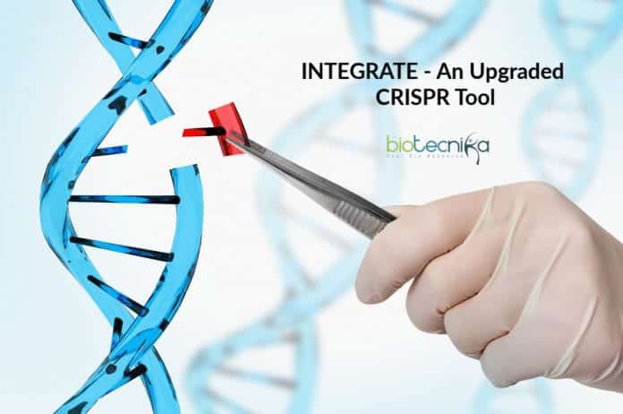 INTEGRATE-An-Upgraded-CRISPR-Tool
