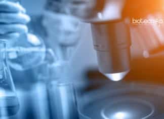 Indian Scientists Selected For EMBO Global Investigator Network Program Indian Scientists selected by EMBO