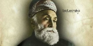 J N Tata Endowment