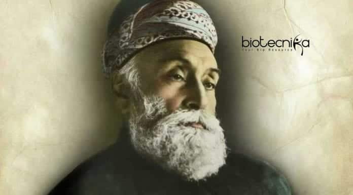 J N Tata Endowment