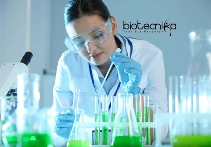 Jiwaji University Job