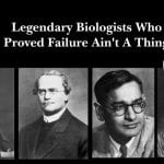 Biology Scientist's Failure Before Success