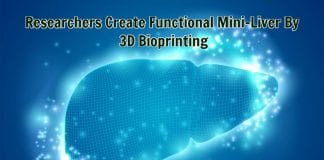 Mini Liver By 3D Bioprinting