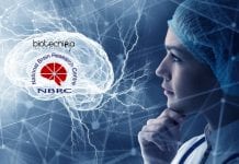 Brain Research MSc / PhD Neuroscience NBRC Admissions 2020 NBRC Admissions 2020