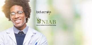 NIAB Research Scholars Program