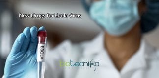 New Drugs for Ebola Virus
