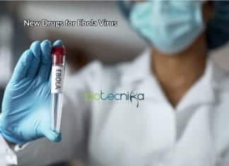 Ebola is Curable Now – The New Drugs Prove Highly Effective New Drugs for Ebola Virus