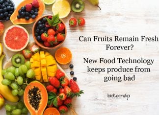 New Food Technology to Keep Produce from Going Bad New sachets keep produce from going bad