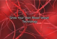 Grow Your Own Blood Vessels Technology – By Imperial London Scientists Personalized Blood Vessels