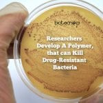 Researchers Develop Polymer That Can Kill Drug-Resistant Bacteria Polymer-Kills-Resistant-Bacteria