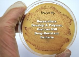 Researchers Develop Polymer That Can Kill Drug-Resistant Bacteria Polymer-Kills-Resistant-Bacteria