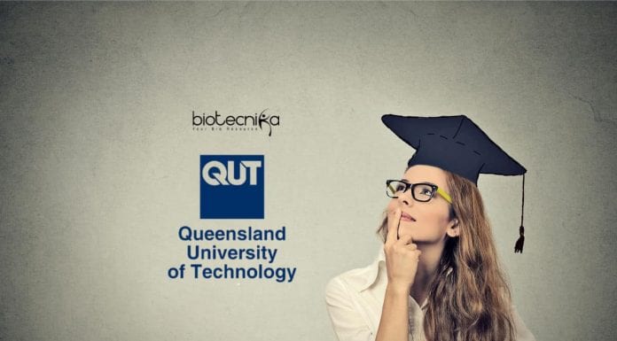 QUT PhD Scholarships