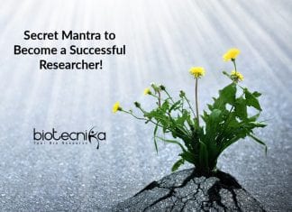 This Is The Secret Mantra To Become A Successful Researcher! Research & patience