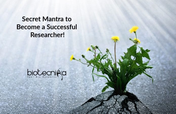Research & patience