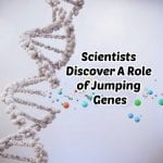 Role of Jumping Genes During Stress