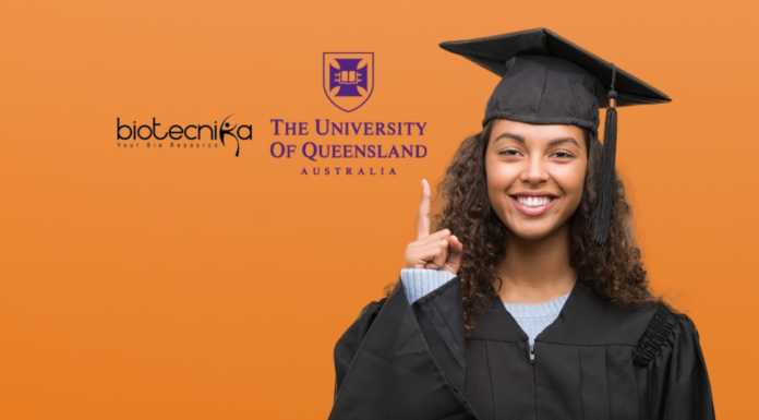 Scholarship For Indian Students