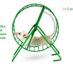 epigenetics behind desire to exercise