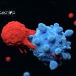 T-Cells-Mesh Shrinks Solid Tumors