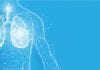 Cellular Blueprint Of Lungs By Yale Researchers Could Help In Organ Regeneration cellular blueprint for lungs
