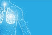 cellular blueprint for lungs