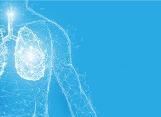 Cellular Blueprint Of Lungs By Yale Researchers Could Help In Organ Regeneration cellular blueprint for lungs
