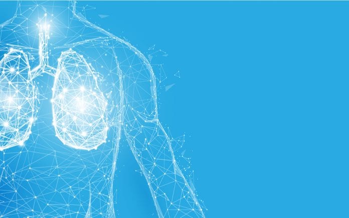 cellular blueprint for lungs