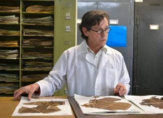 A Colombian Botanist Is Risking His Life To Preserve Plants Colombian botanist Preserves Plants