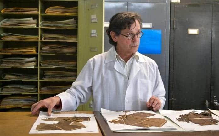 Colombian botanist Preserves Plants