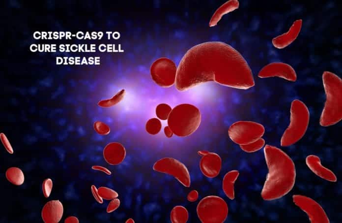 crispr sickle cell