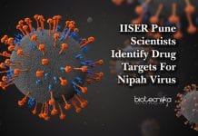 IISER Pune Scientists Identify Drug Targets For Nipah Virus drug targets for nipah virus