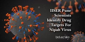 drug targets for nipah virus