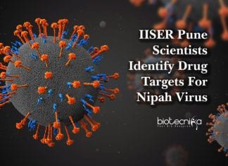 IISER Pune Scientists Identify Drug Targets For Nipah Virus drug targets for nipah virus