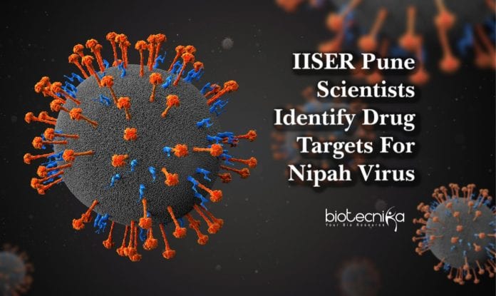 drug targets for nipah virus