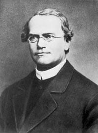 Biology Scientist's Failure Before Success