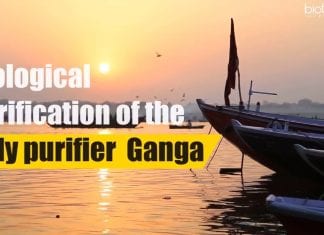 Biological Purification Of The Holy Purifier – Ganga