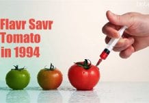 Most Accepted GMO’s Till Date Most Accepted GMO