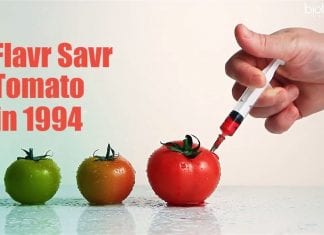 Most Accepted GMO’s Till Date Most Accepted GMO