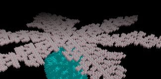 model of HIV 1 shell
