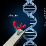 new crispr technique for gene insertion Efficient insertion of DNA