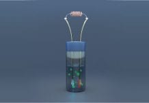 Scientists Develop Glucose Powered Biosensors Glucose Powered Biosensors