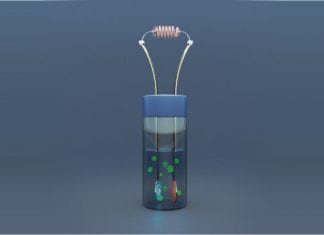 Scientists Develop Glucose Powered Biosensors Glucose Powered Biosensors