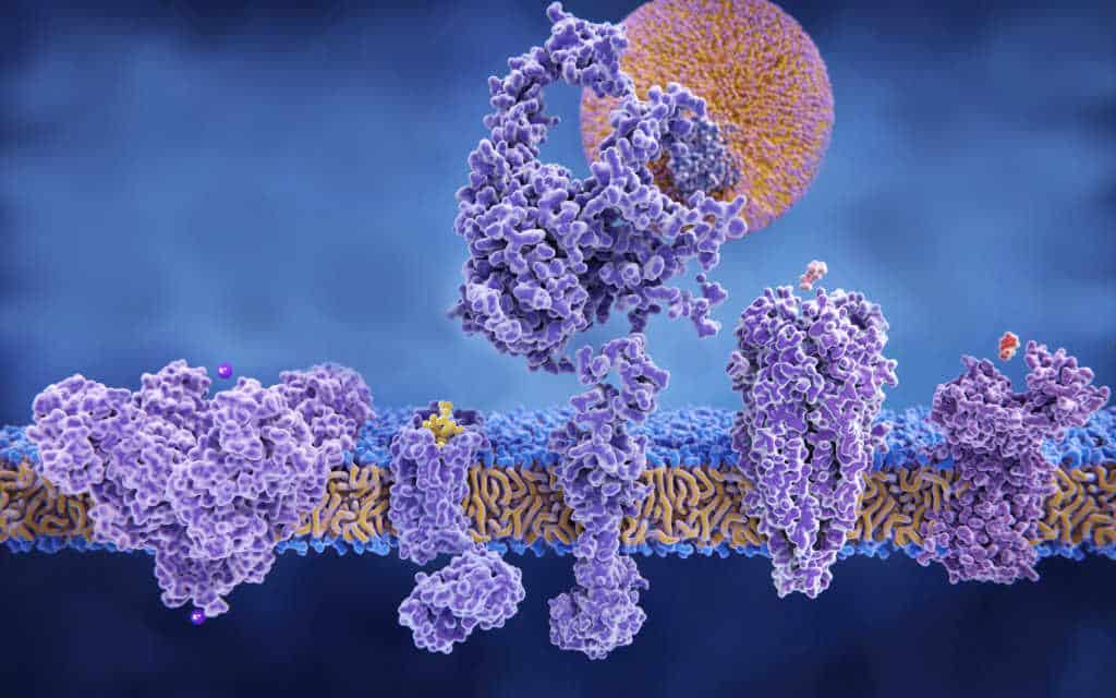 Top Research By Indian Bioscientists