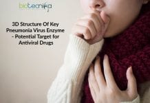 NTU Scientists Reveal 3D Structure of Key Pneumonia Virus Enzyme NTU Scientists Reveal the 3D Structure of Key Pneumonia Virus Enzyme