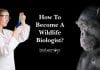 How To Become A Wildlife Biologist? – Career Path & Salary Details Wildlife Biology Career
