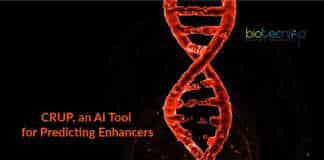 CRUP to predict enhancers