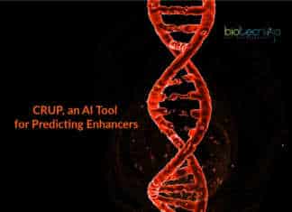 CRUP – An Artificial Intelligence Tool To Predict Enhancers in Genome CRUP to predict enhancers