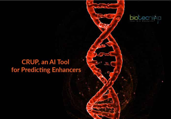 CRUP to predict enhancers