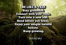 Biotecnika Times – Newsletter 16.01.2020 – CSIR Dec 2019 Score Card, FSSAI 2020 Internship