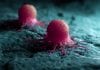 Never Known Before Details of Cancer-Related Proteins Mapped By Researchers Cancer Related Proteins Mapped