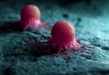 Cancer Related Proteins Mapped